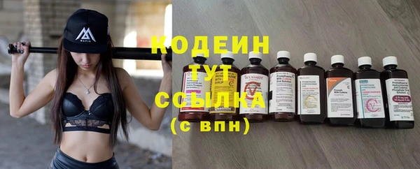 прущие грибы Надым
