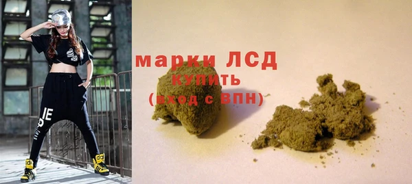 прущие грибы Надым