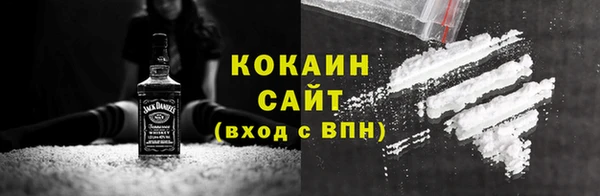 прущие грибы Надым