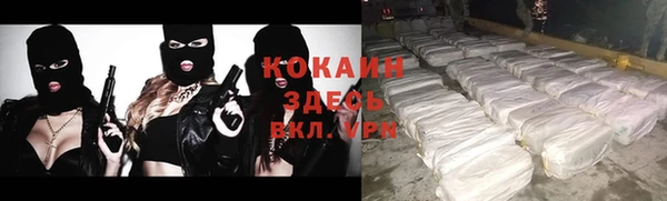 прущие грибы Надым