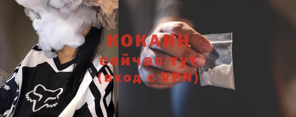 прущие грибы Надым