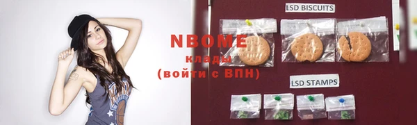 прущие грибы Надым