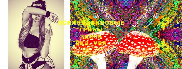 марки lsd Ахтубинск