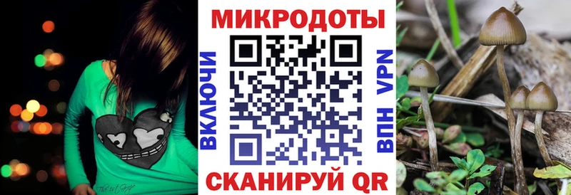 где можно купить   Ярославль  Псилоцибиновые грибы GOLDEN TEACHER 