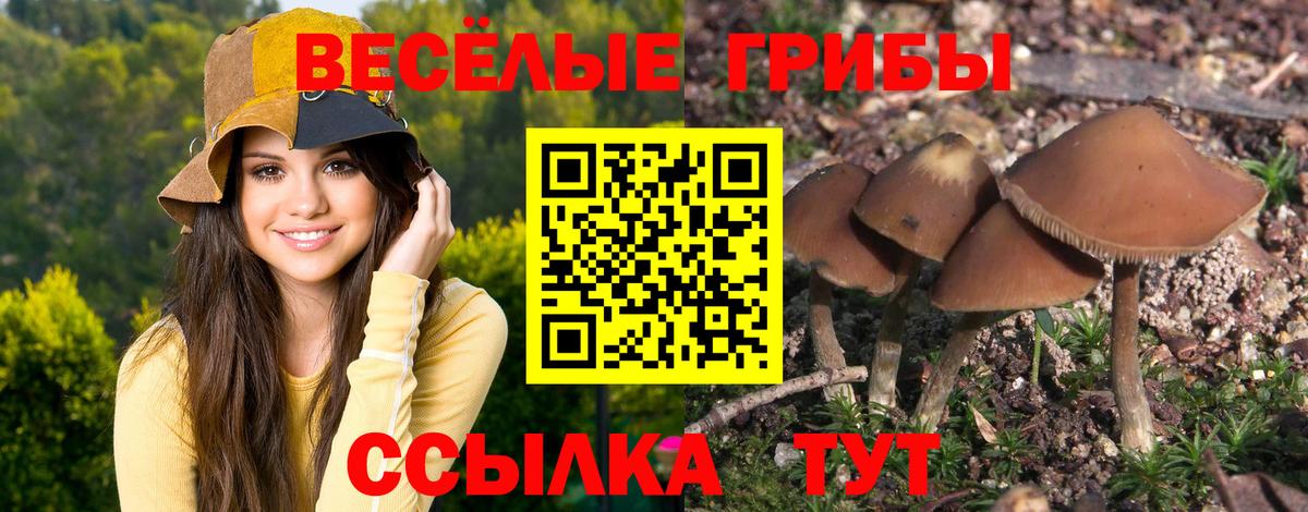 Псилоцибиновые грибы ЛСД  Ярославль  Псилоцибиновые грибы прущие грибы 