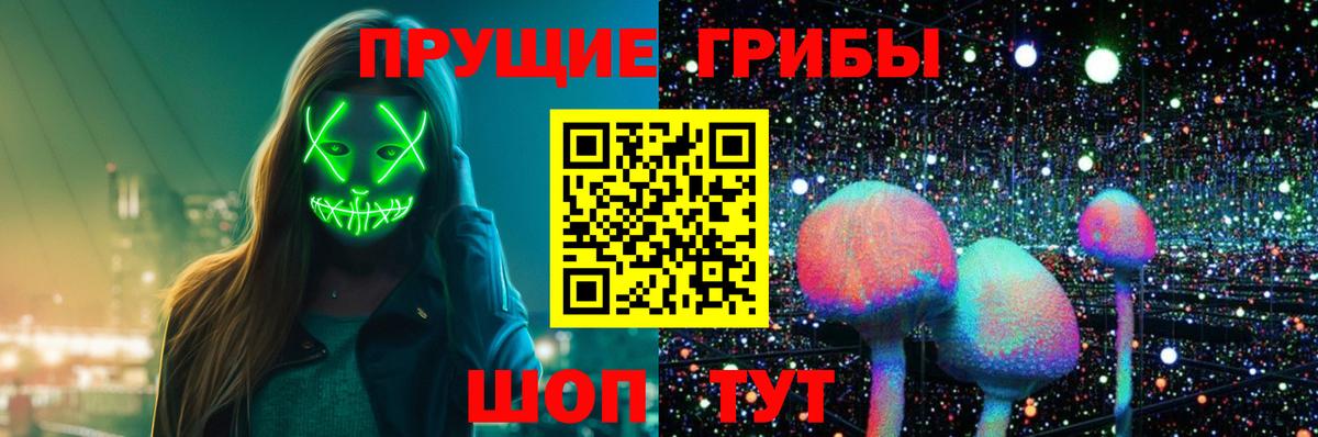 Галлюциногенные грибы Cubensis Ярославль