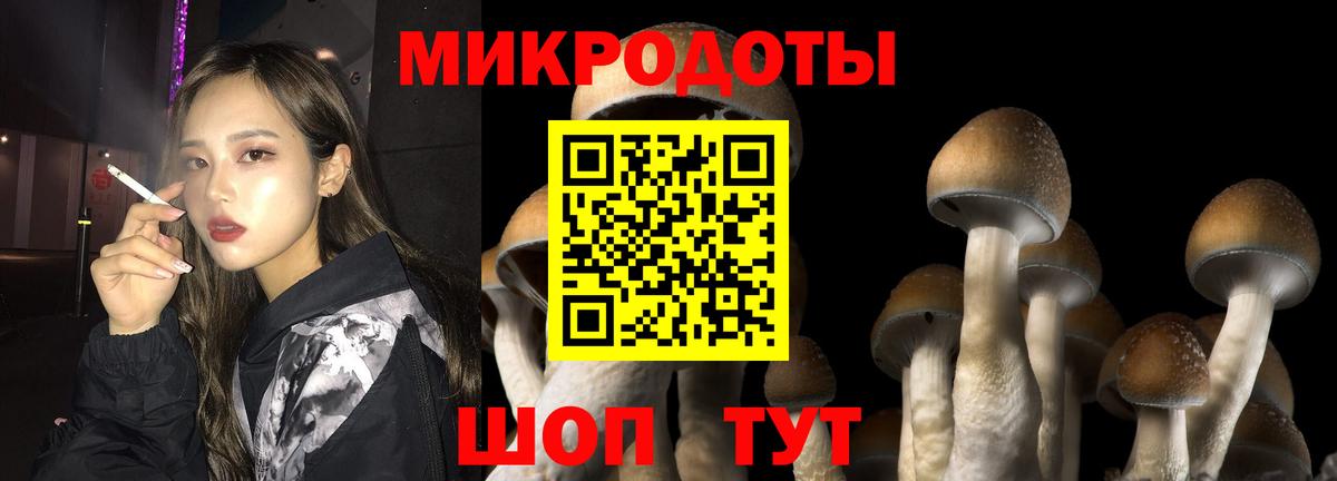 Псилоцибиновые грибы мицелий  Вход с VPN  Псилоцибиновые грибы Psilocybine cubensis  Ярославль 