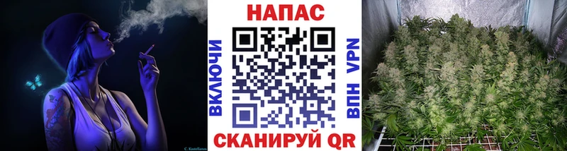 Шишки марихуана ГИДРОПОН  купить наркотики сайты  Ярославль 